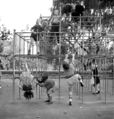 1942-central-park.jpg