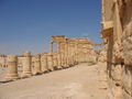 Agora Palmyra.jpg