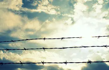 Barbed wire.jpg